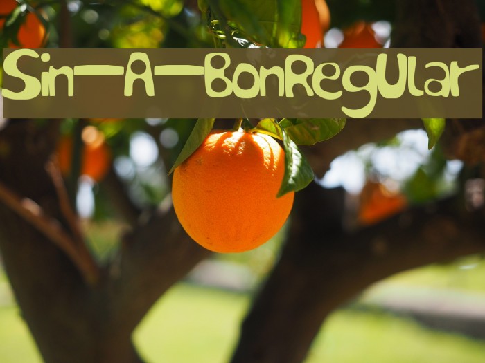 Sin-A-Bon Regular Font examples