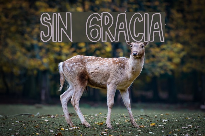 Sin Gracia Font examples