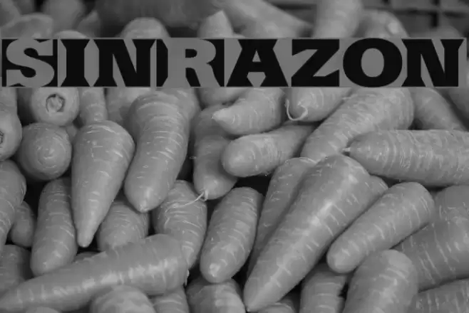SinRazon フォント examples
