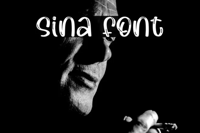Sina Example 3