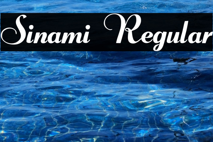 Sinami Regular Example 1