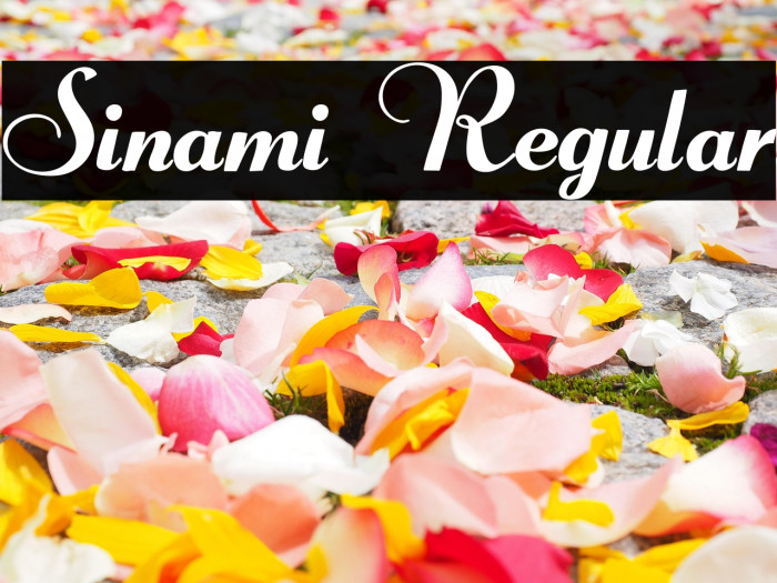 Sinami Regular Example 2