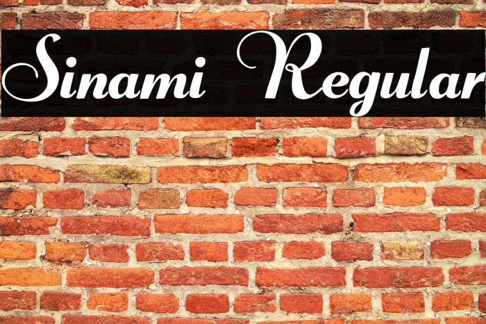 Sinami Regular Example 3