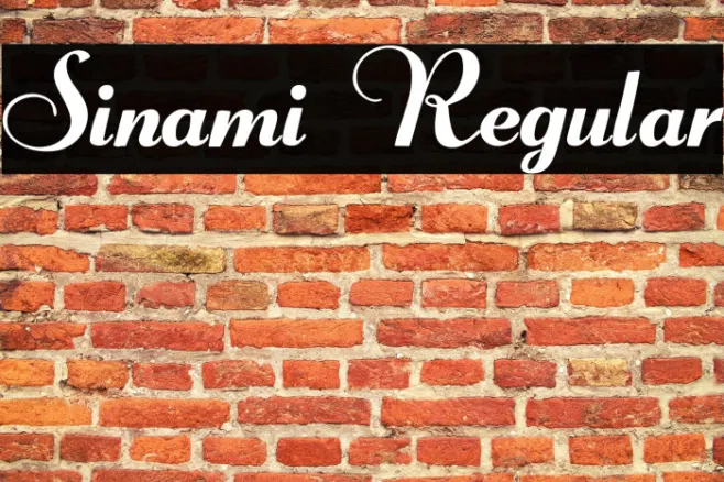 Sinami Regular Example 3