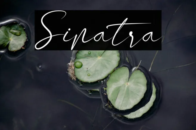 Sinatra Example 1