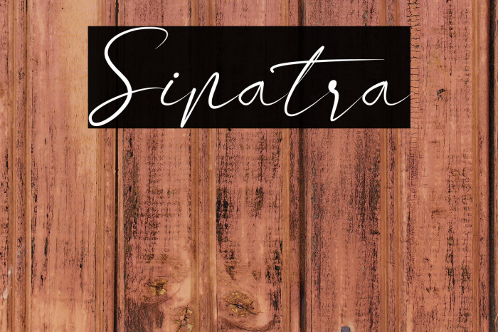 Sinatra Example 2