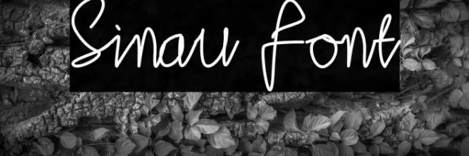 Sinau Font examples