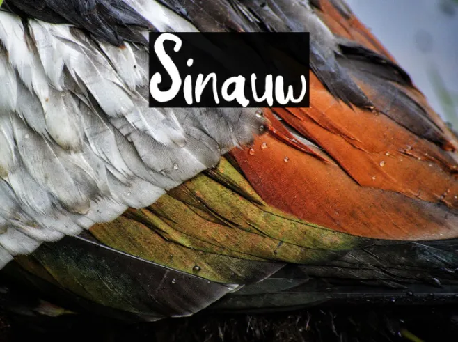 Sinauw Example 3