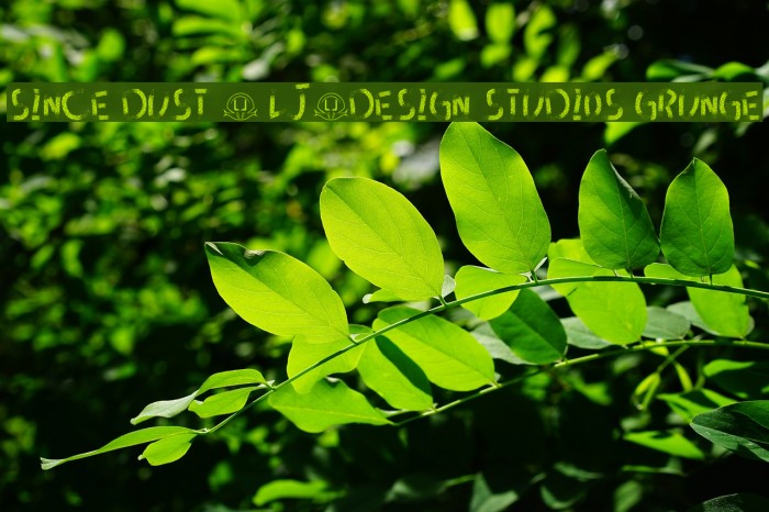 Since dust - LJ-Design Studios Grunge フォント examples