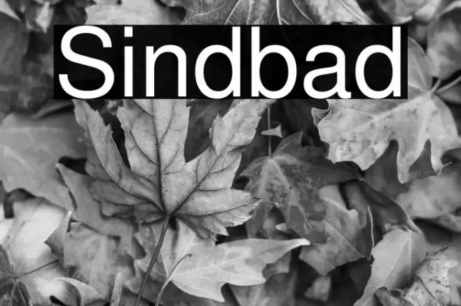 Sindbad Font examples