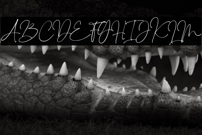 Sindenetta Example 1