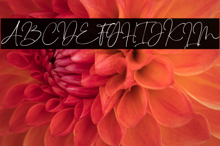 Sindenetta Example 2