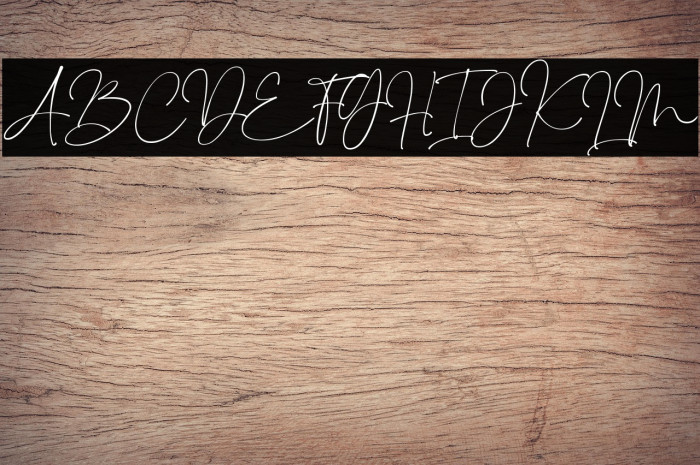 Sindenetta Example 3