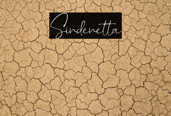 Sindenetta Example 3