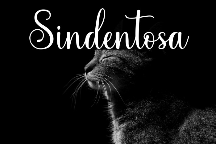 Sindentosa Example 2