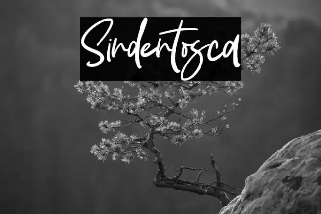 Sindentosca Шрифта examples