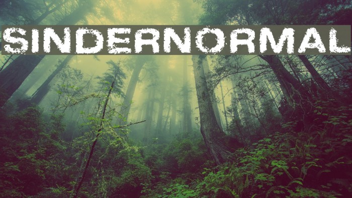 SinderNormal Font examples