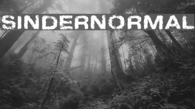 SinderNormal Font examples