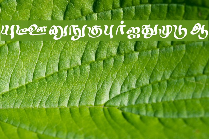 Sindhubairavi Regular Font examples