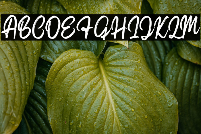 SindoroScriptDEMO-Regular Example 1