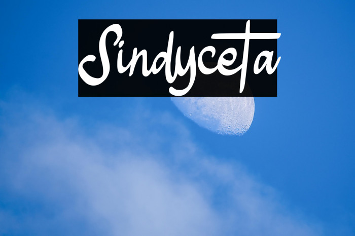 Sindyceta Example 1