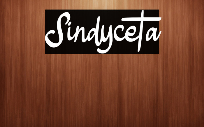 Sindyceta Example 2