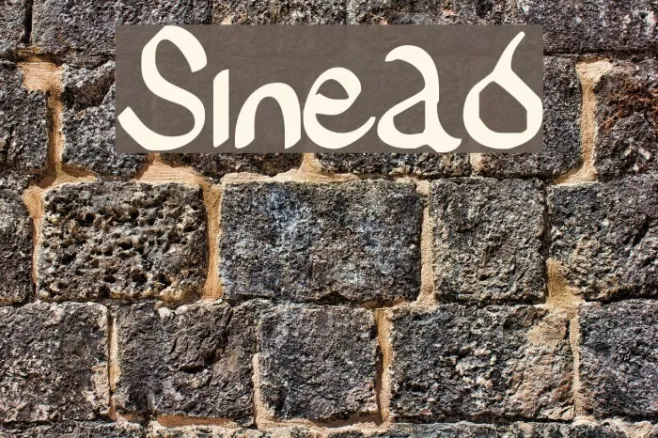 Sinead Example 3