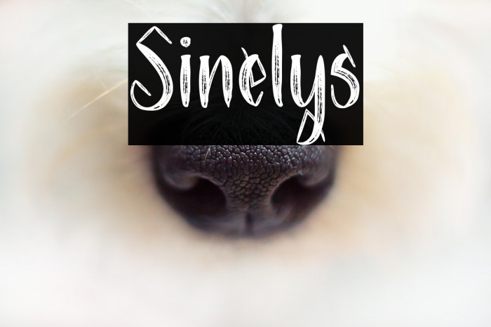 Sinelys Example 1