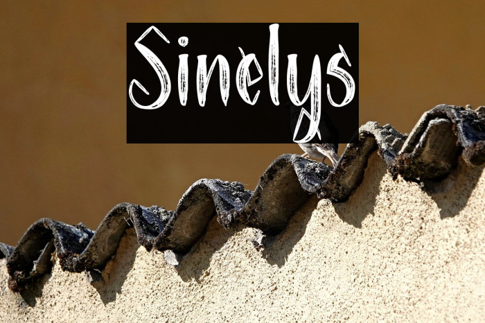 Sinelys Example 2