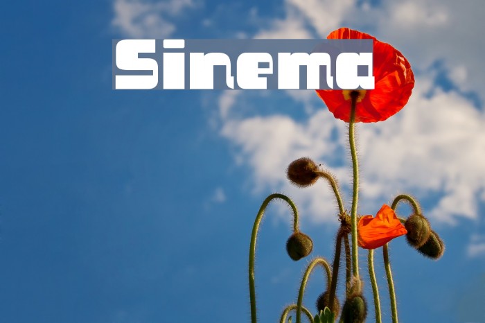 Sinema Example 3