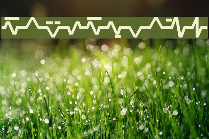 Sinescript Example 1