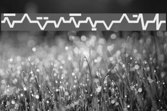 Sinescript Font examples