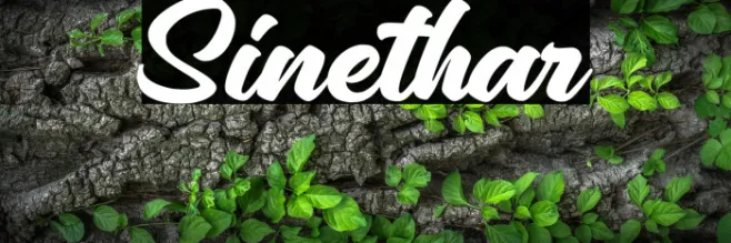 Sinethar Example 3