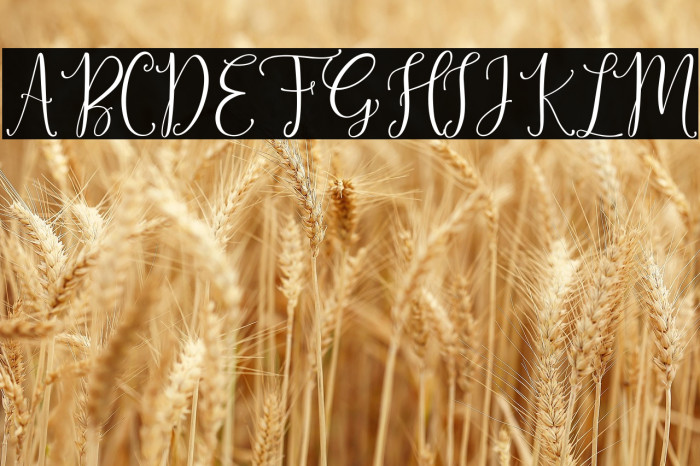 SinfoniettaPersonalUseOnly Example 1