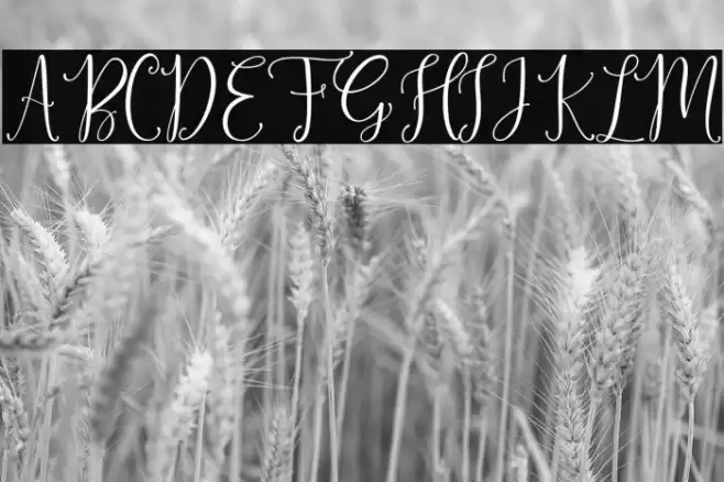 SinfoniettaPersonalUseOnly Font examples