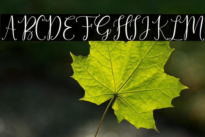 SinfoniettaPersonalUseOnly Example 2