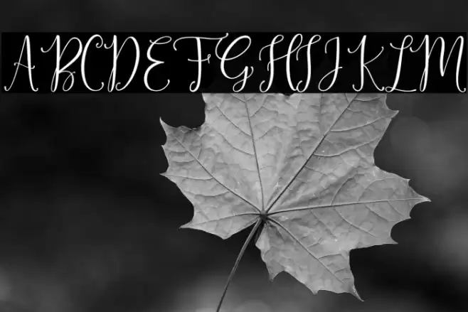 SinfoniettaPersonalUseOnly Font examples