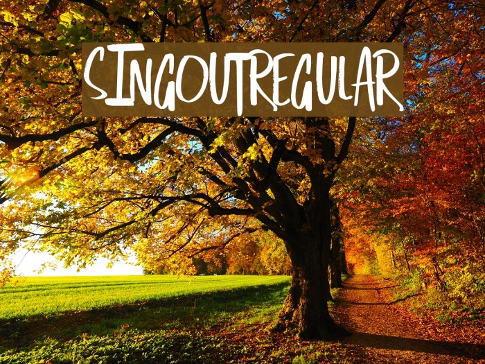 SingOut-Regular Font examples