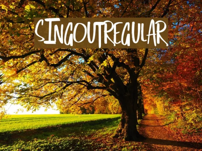 SingOut-Regular Example 2