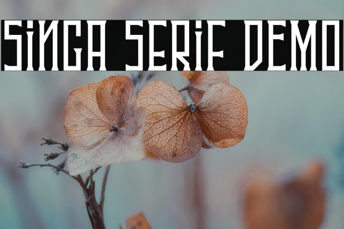 Singa Serif DEMO Example 2
