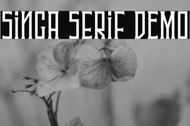 Singa Serif DEMO Font examples