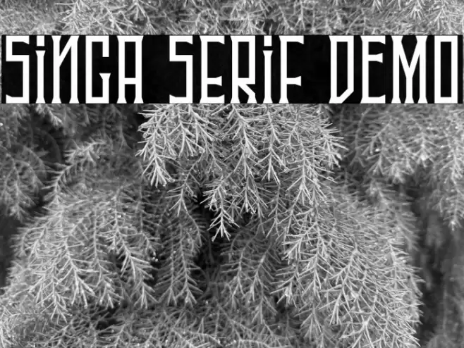 Singa Serif DEMO Font examples