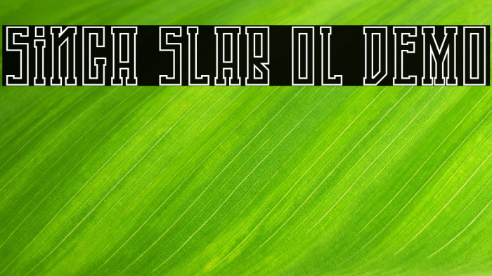 Singa Slab OL DEMO Example 1