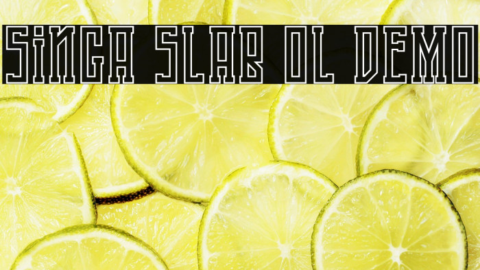 Singa Slab OL DEMO Example 2