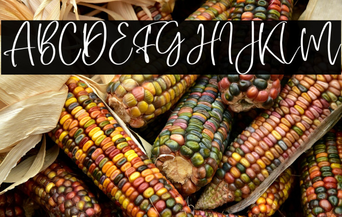 SingaparnaScript Example 1