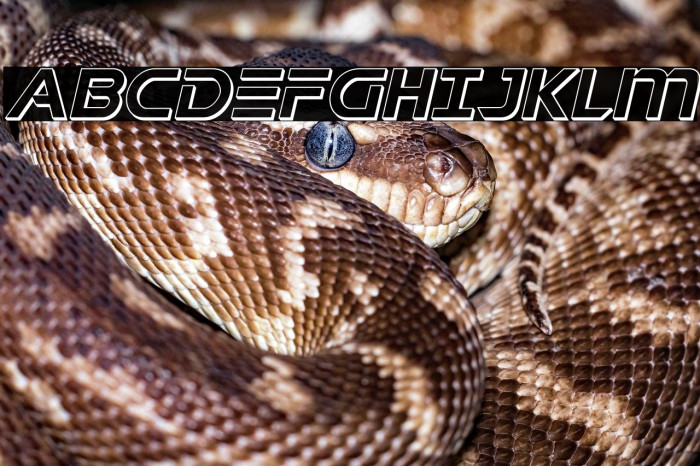 Singapore Sling 3D Italic Example 3