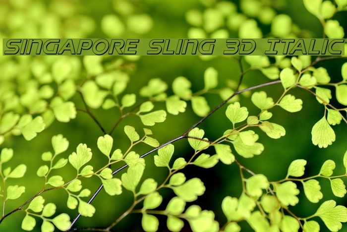 Singapore Sling 3D Italic Font examples