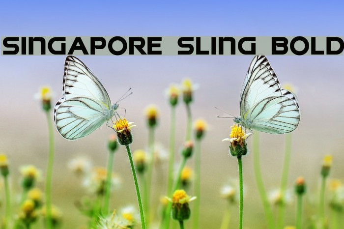 Singapore Sling Bold Font examples
