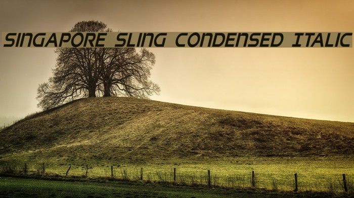 Singapore Sling Condensed Italic Font examples
