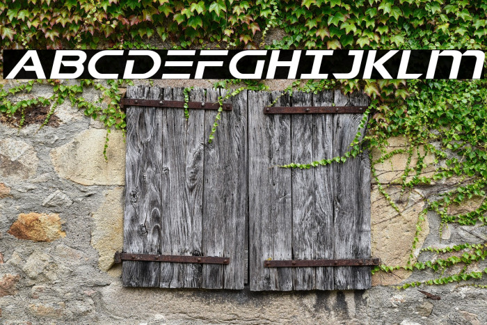 Singapore Sling Expanded Italic Example 2